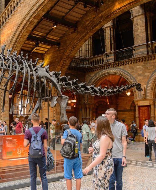 Families with children looking at dinosaur skeleton at the Natural History Museum London