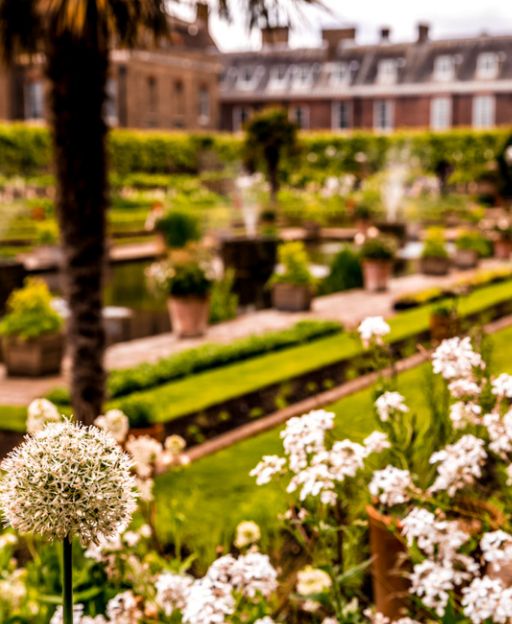 Kensington Palace Sunken Garden in spring with white flowers blooming