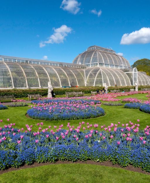 The iconic Palm House at Kew Royal Botanic Gardens surrounded by colourful tulips and blue flowers under a bright sky