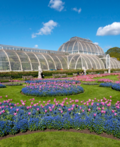 The Palm House at Kew Gardens London surrounded by colourful flower beds in spring
