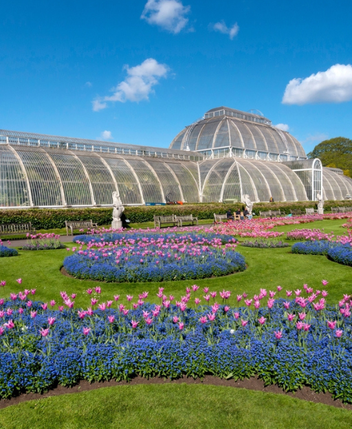 The Palm House at Kew Gardens London surrounded by colourful flower beds in spring