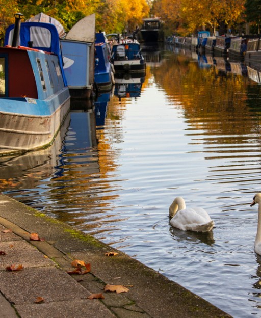 Narrowboats moored on the Regent's Canal in Camden Town London