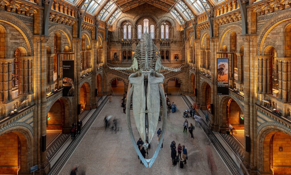 London with Kids: The Complete Family Guide for US Families