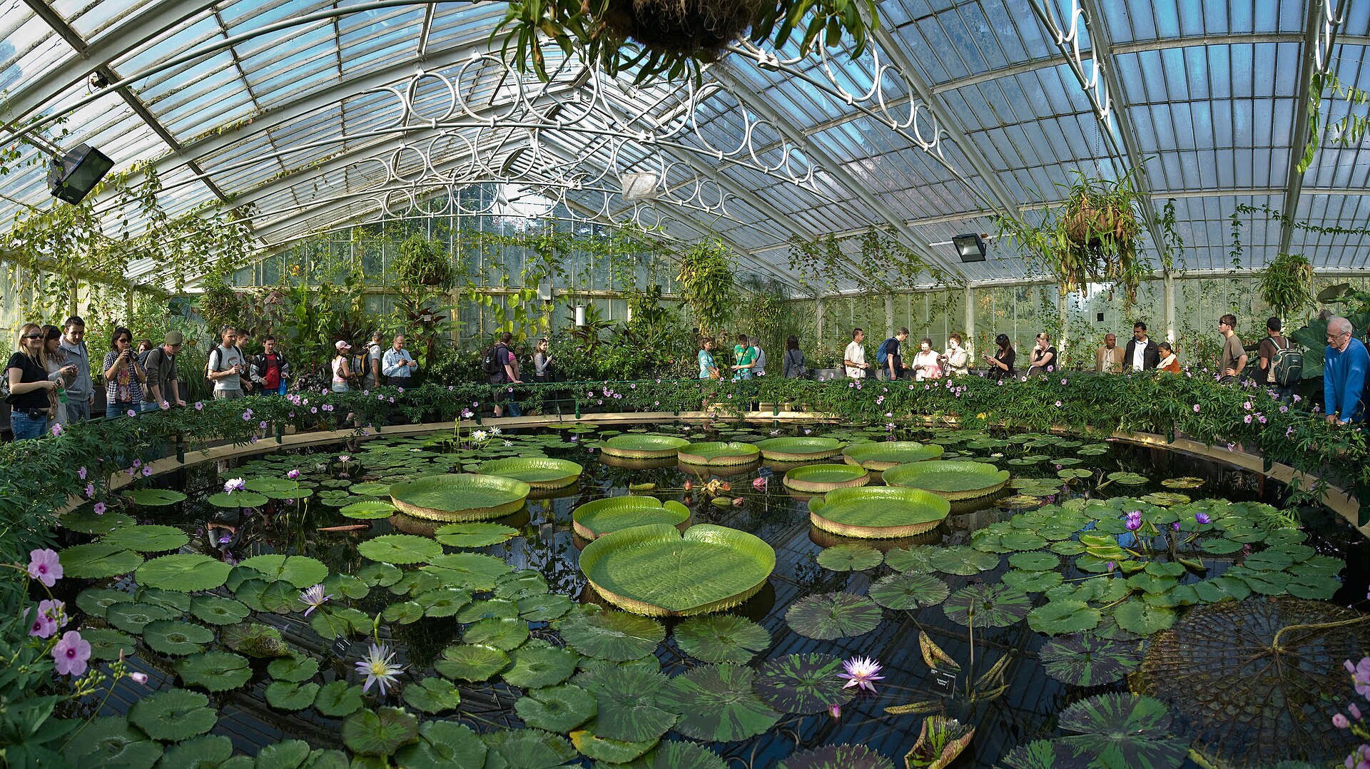 The London Garden That Has Been Quietly Running the World for 250 Years