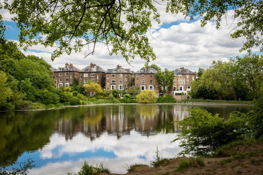 A pond on Hampstead Heath, with houses beyond the trees