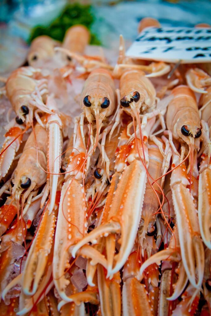 Langoustines piled on ice at a Borough Market fish stall, London