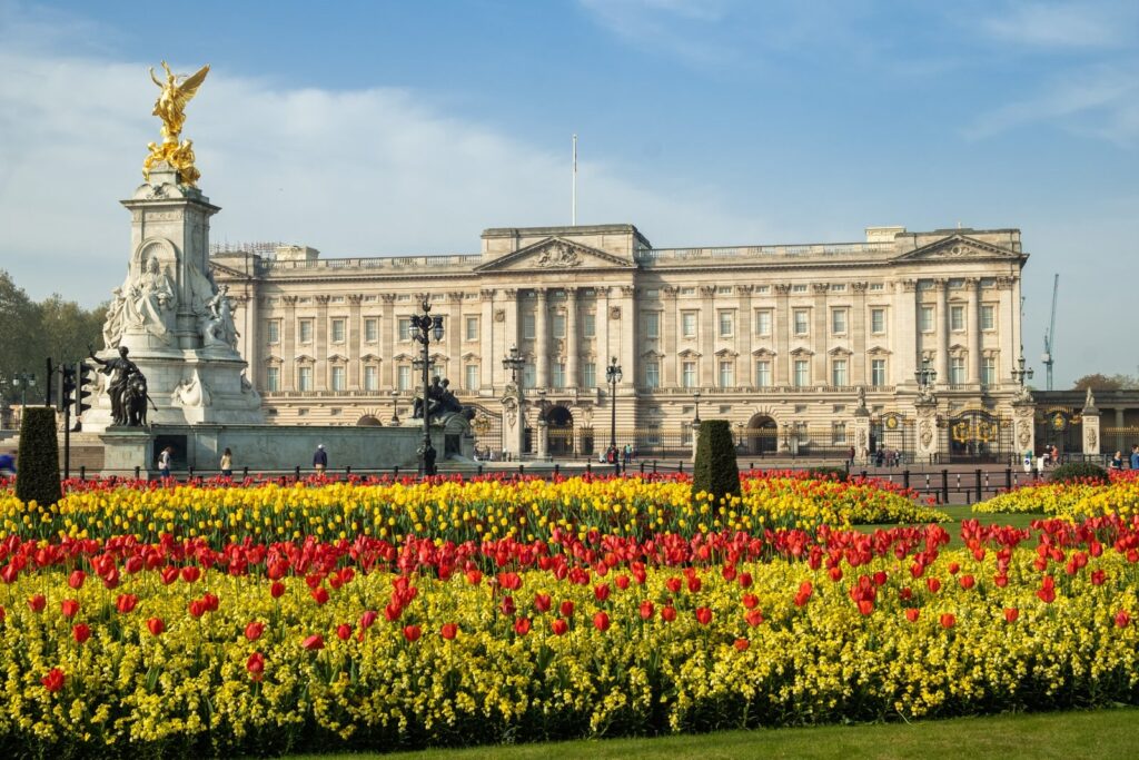 Red tulips in front of Buckingham Palace