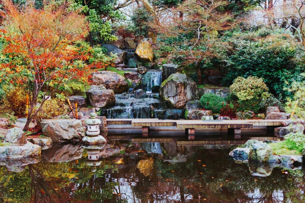 Waterfall and maples in the Kyoto Garden, Holland Park, London