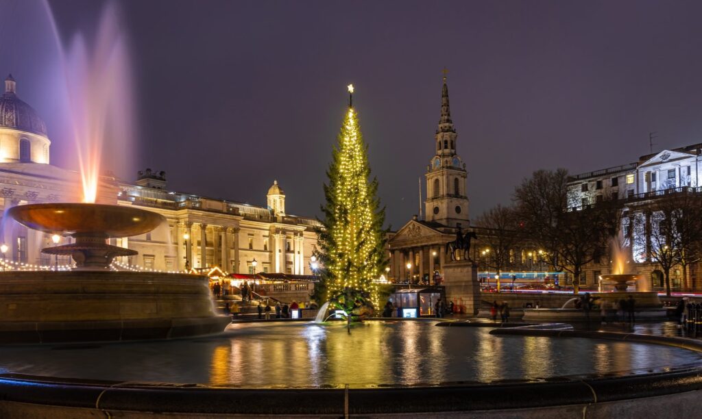 The Christmas tree on Trafalgar Square at night