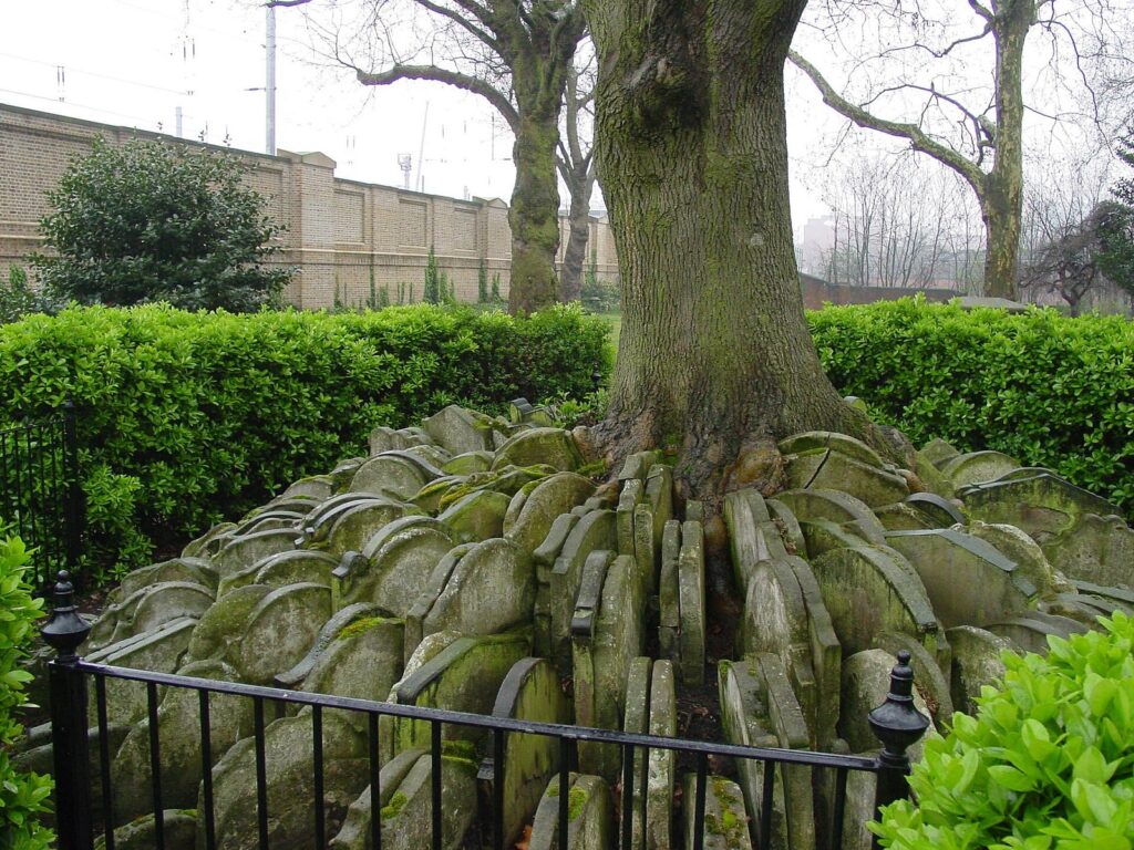 The Hardy Tree and its ring of gravestones in the churchyard of St Pancras Old Church