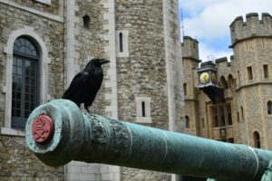 The Ravens of the Tower of London — London